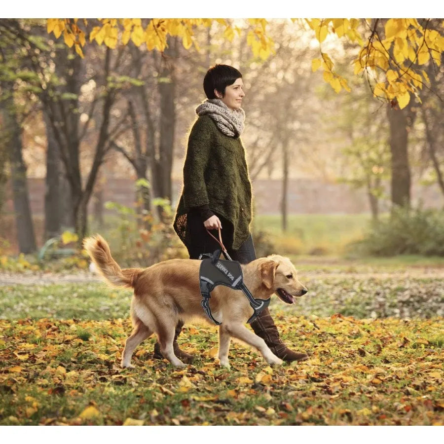 Service Dog HarnessNoPull Dog Harness with Handle Adjustable Reflective Pet Dog in Training Vest Harness Easy Control for Small