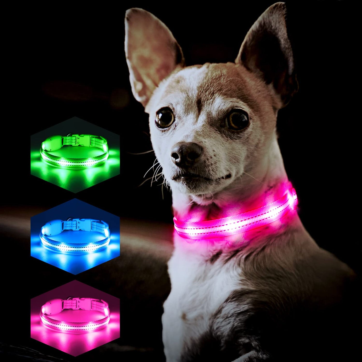 Pet Collars