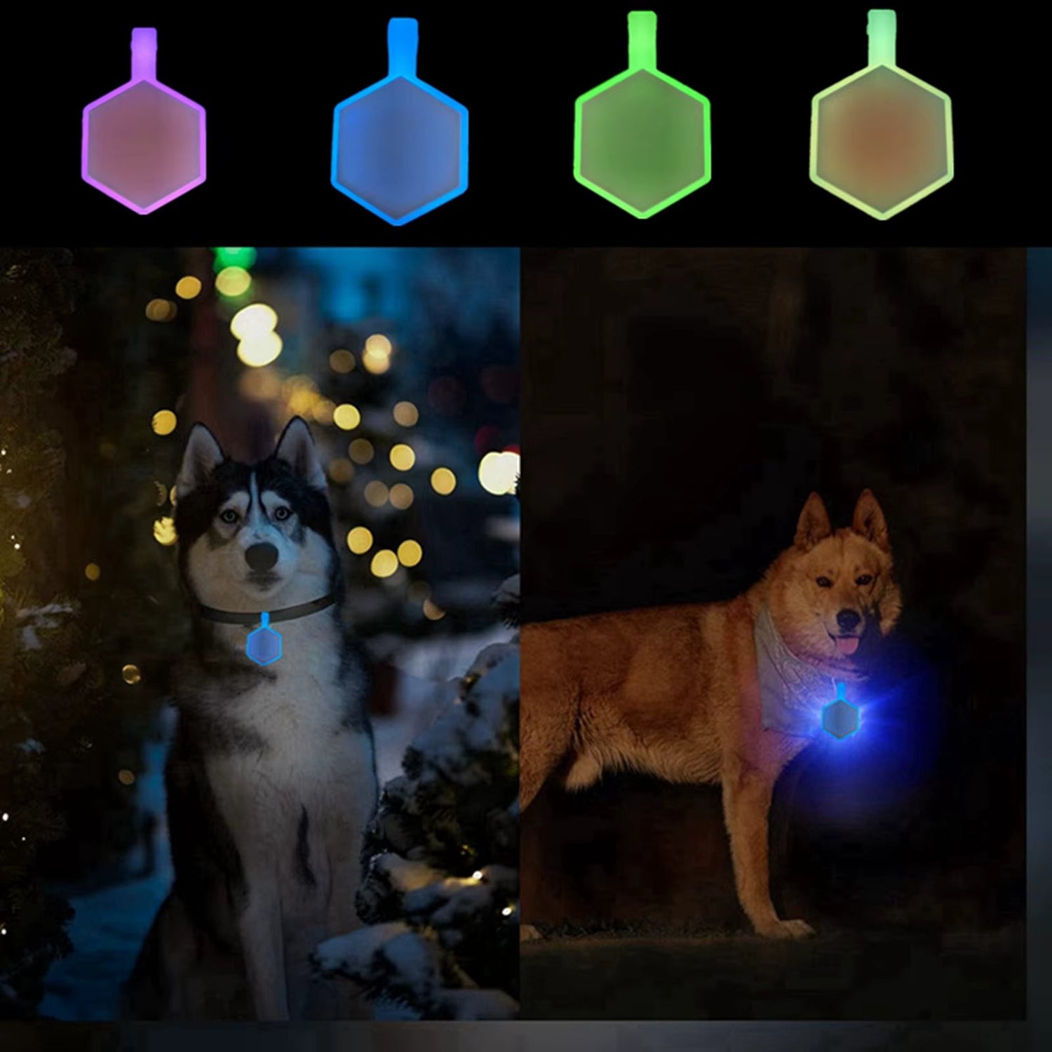 Accessories and Tags