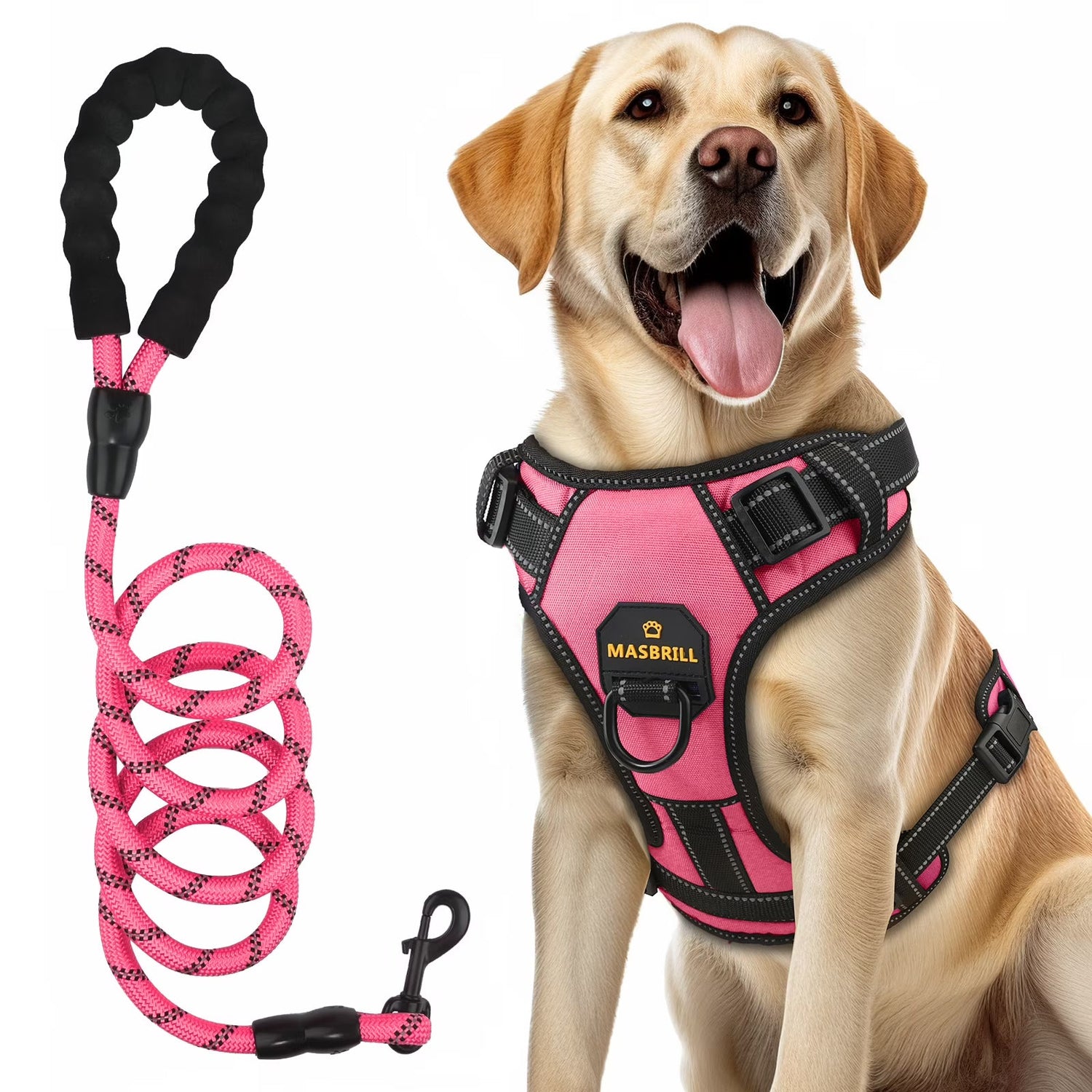 Harnesses