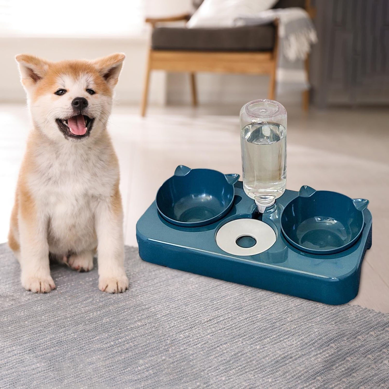 Pet Bowls