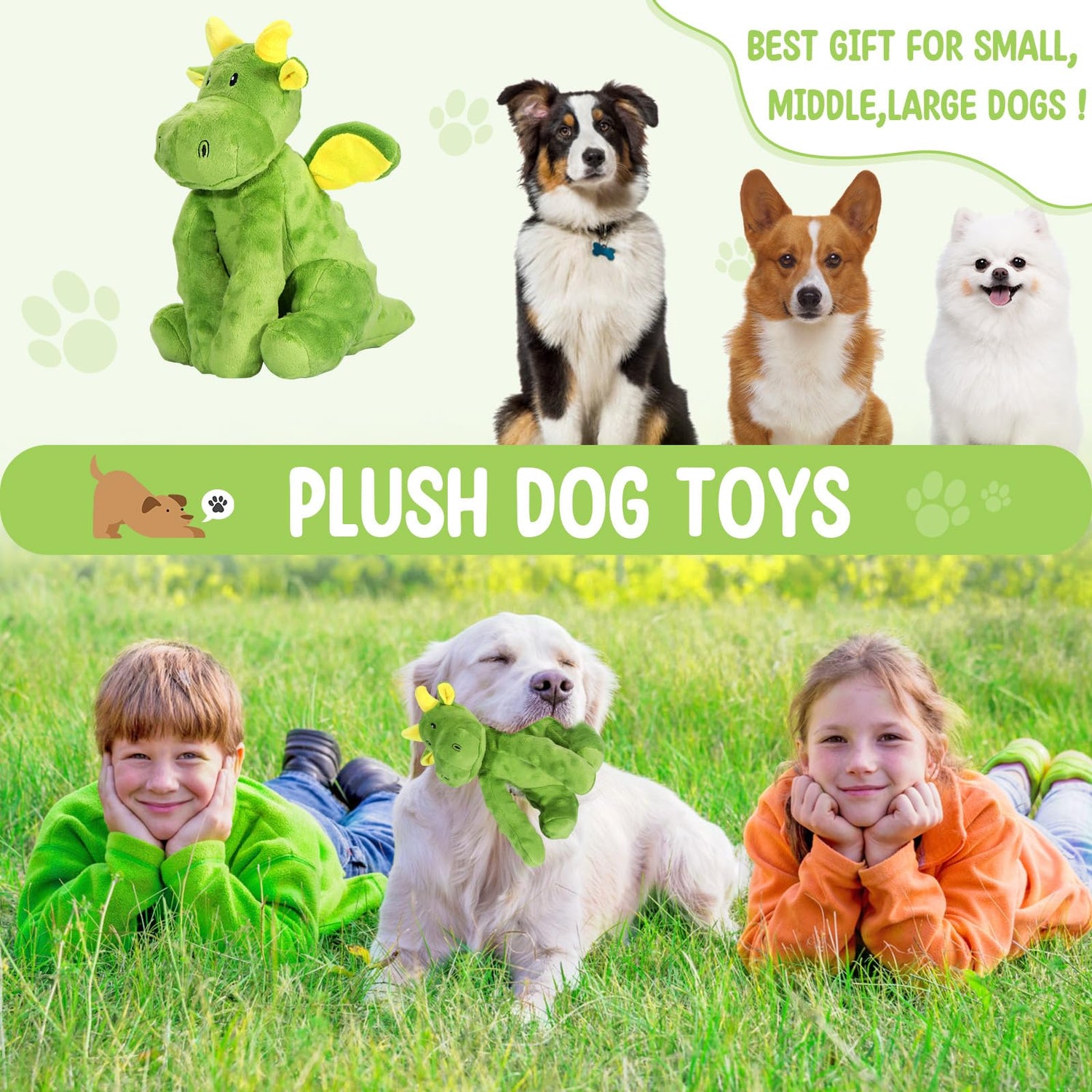 Plush and Squeaky Toys