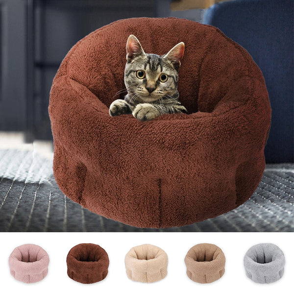 Dog & Comfort
