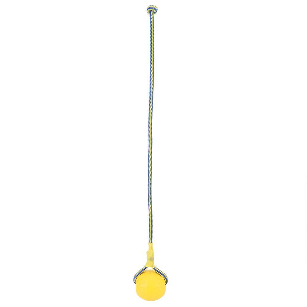 Golden Retriever Band Bouncing Ball Training Funny Pet Products