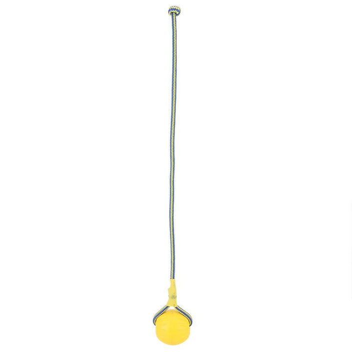 Golden Retriever Band Bouncing Ball Training Funny Pet Products