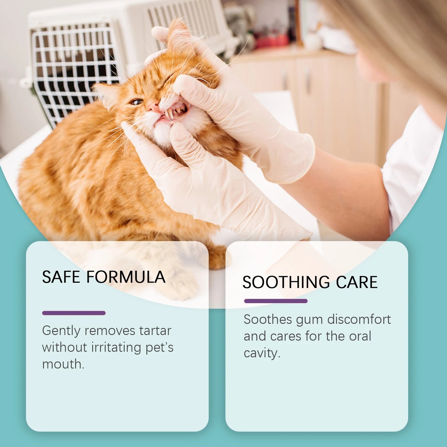 Yegbong Pet Teeth Cleaning Wipes Promote Pet Oral Health Eliminating Bad Breath Refreshing Prevent Decay Tooth Cleaning Wipes