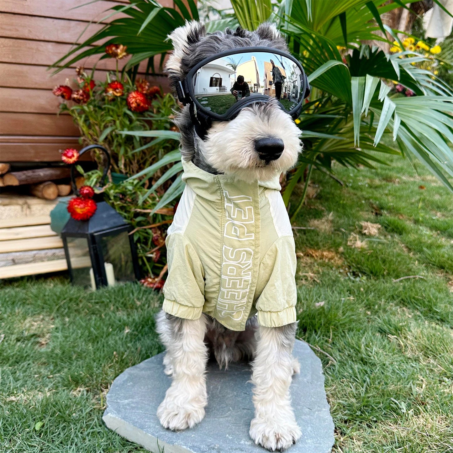 Dog Sunglasses Dog Goggles UV Protection Pet Glasses Eyewear with Adjustable Strap,Glasses for Dog Skating Glasses Dustproof