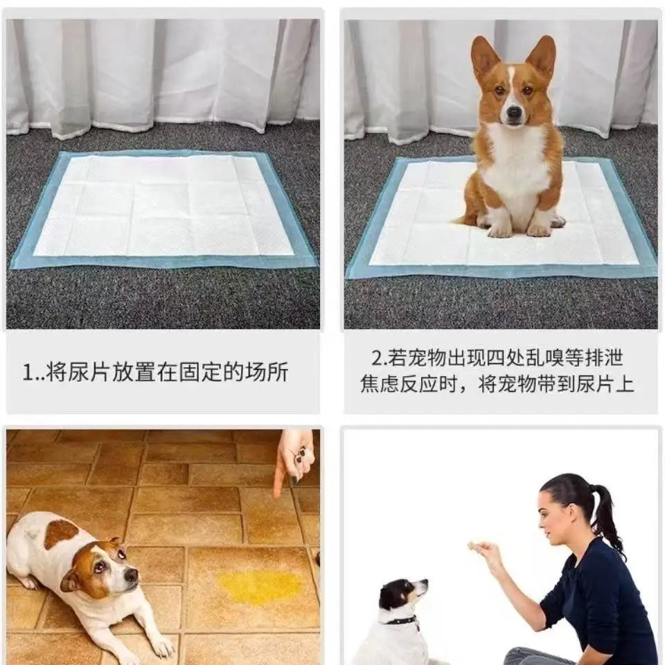 100/50/40/20PCS Absorbent Dogs Diapers Disposable Puppy Training Pee Pads Quick Dry Surface Mat Clean Cushion Dog Supplies