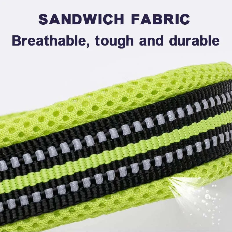 Dog Walking Collar Comfort Padded with Buckle Nylon Traveling Collar Tactical Dog Suplpies 11 Colors Size XXS-XXXL