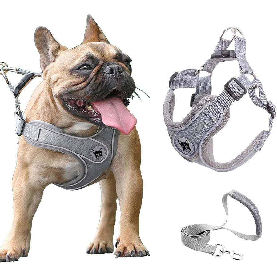 Medium Dog Harness and Leash SetNo Pull Adjustable Step in Soft Mesh Vest Harness Easy Walk Reflective Pet Harness with Padded