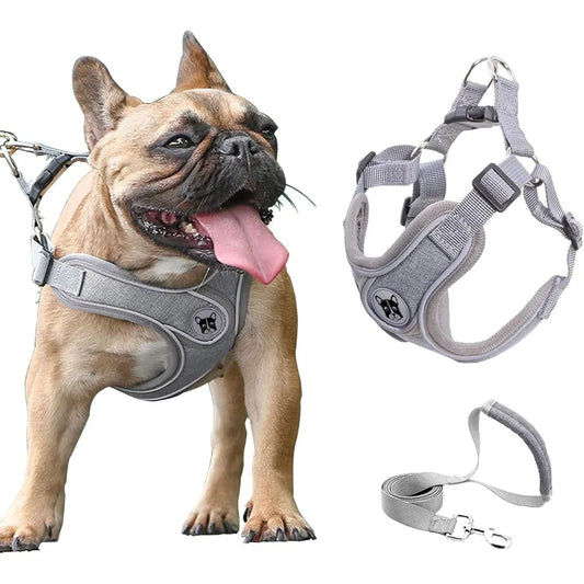 Medium Dog Harness and Leash SetNo Pull Adjustable Step in Soft Mesh Vest Harness Easy Walk Reflective Pet Harness with Padded