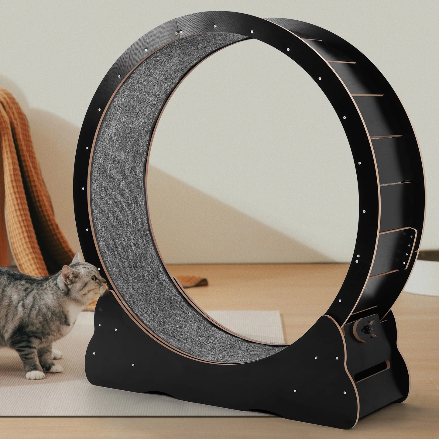 Cat Wheel Cat Treadmill Cat Exercise Wheel Running Wheel for Indoor Cats Physical Exercise Activity
