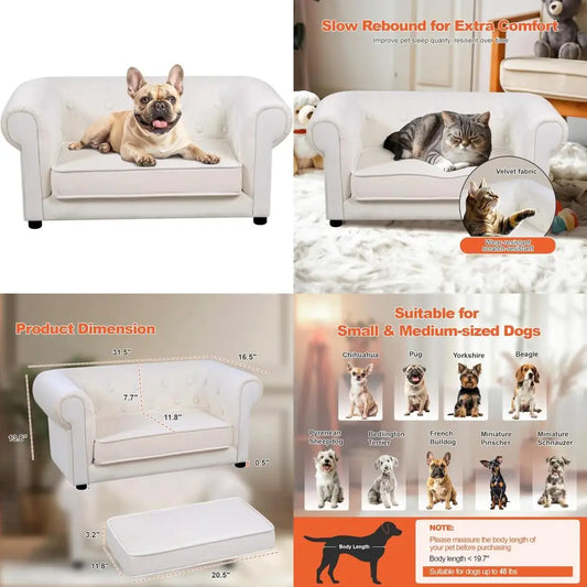 elevated dog bed with cushion for small to medium pets, removable cover and anti-slip base