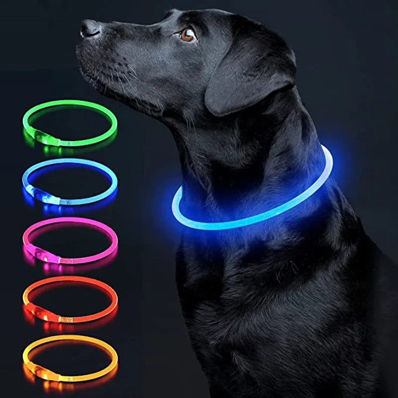 USB Charging Necklace Led Luminous Dog Collar Light , Flashing DIY Glowing Safety Anti Lost Cat Dogs Collar Accessories Supplies