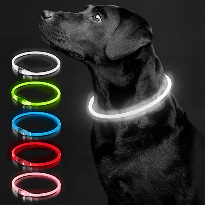 USB Charging Necklace Led Luminous Dog Collar Light , Flashing DIY Glowing Safety Anti Lost Cat Dogs Collar Accessories Supplies