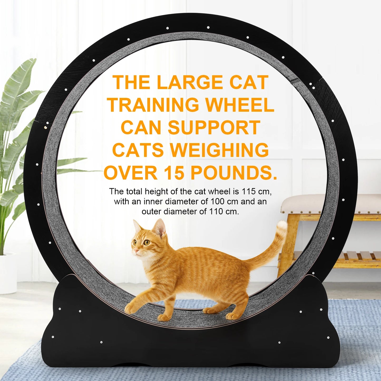 Cat Wheel Cat Treadmill Cat Exercise Wheel Running Wheel for Indoor Cats Physical Exercise Activity
