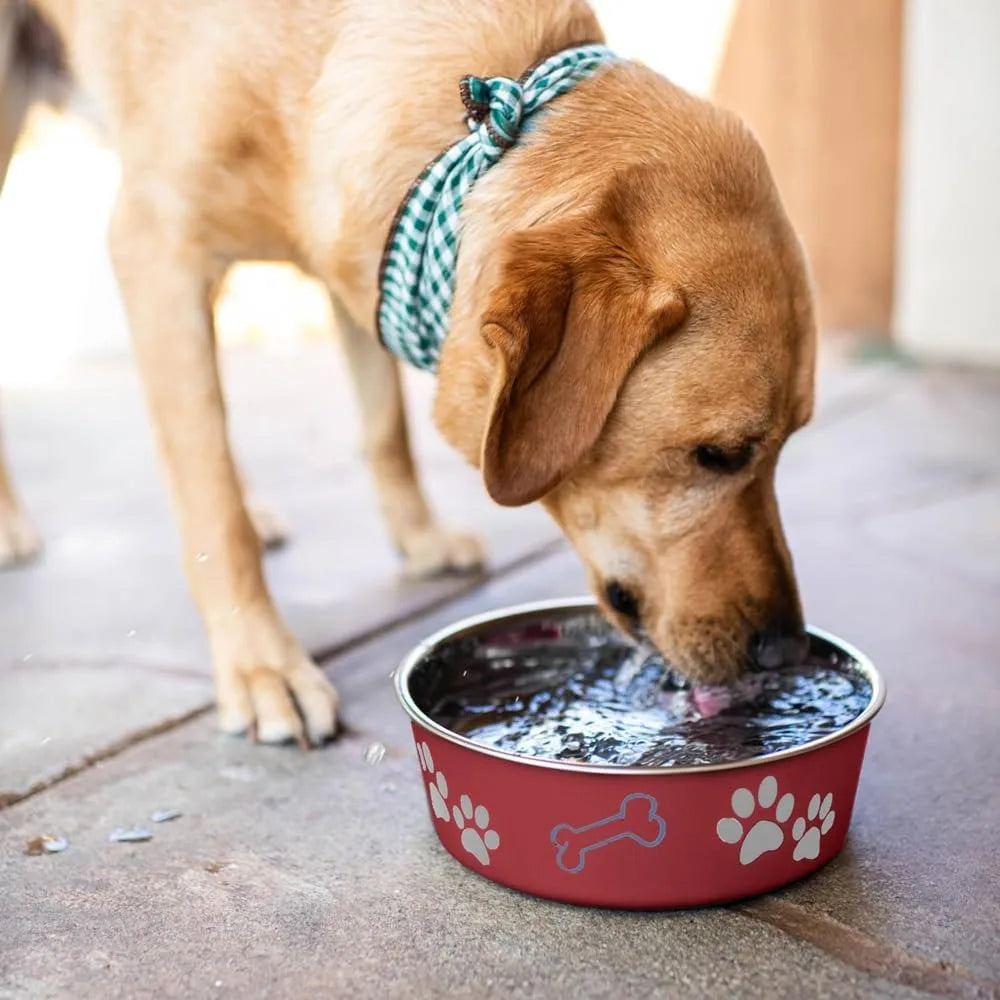Dog Bowls- Stainless Steel Dog & Cat Bowls - Spill Proof Dog Food Bowl, Cat Bowl, Puppy Essentials & Pet Supplies Great f