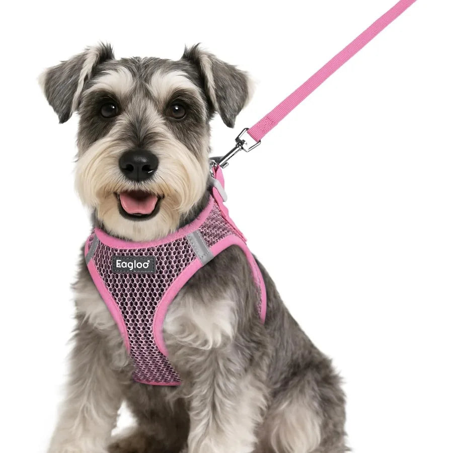 Small Dog Harness and Leash Set Step in Puppy Vest with Breathable Soft Mesh Walking Reflective Pet Harness for Small Dogs Pink