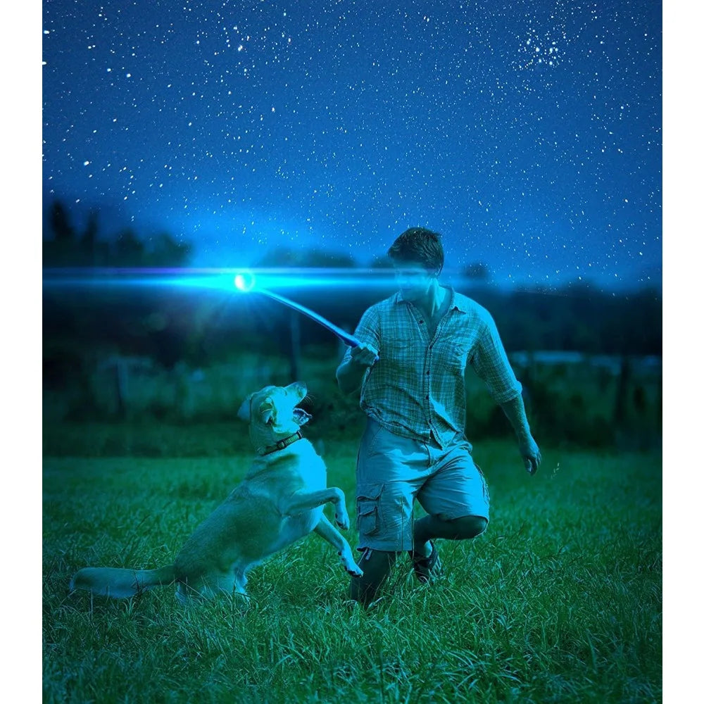 Chuckit! Max Glow Ball Dog Toy