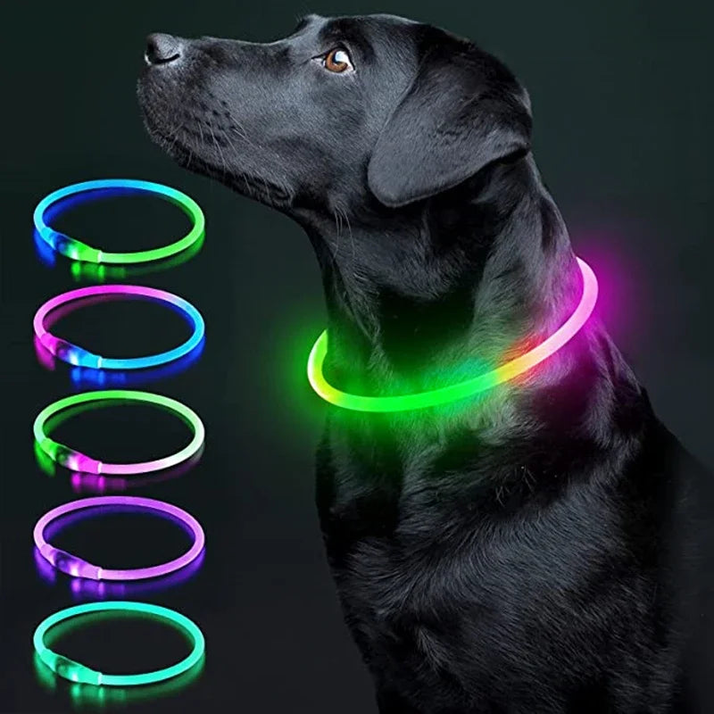 USB Charging Necklace Led Luminous Dog Collar Light , Flashing DIY Glowing Safety Anti Lost Cat Dogs Collar Accessories Supplies