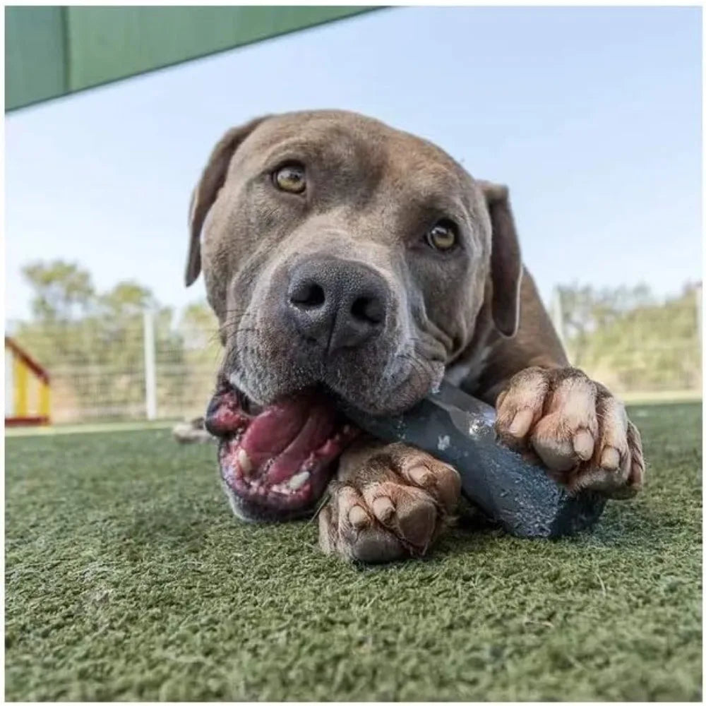 Professional Dog Chew Toy - Dogs 30-50 lbs - XL Size - Virtually Indestructible