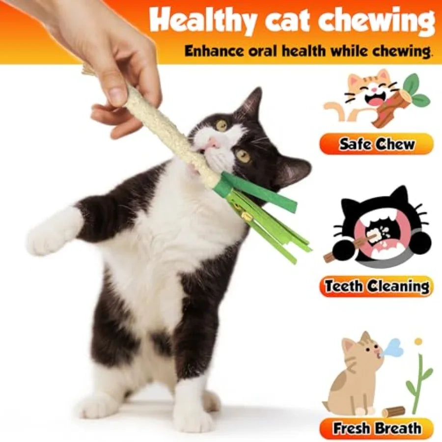 Catnip Chew Stick 4PCS with Wrapped Cotton Rope tural Dental Care Cat Toy for Teeth Cleaning Gum Health Satisfies Chewing Insti