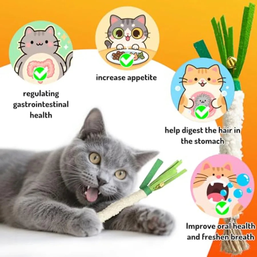 Catnip Chew Stick 4PCS with Wrapped Cotton Rope tural Dental Care Cat Toy for Teeth Cleaning Gum Health Satisfies Chewing Insti