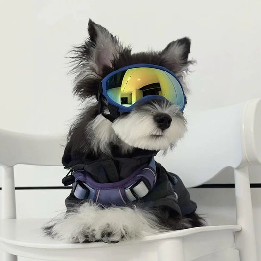 Dog Sunglasses Dog Goggles UV Protection Pet Glasses Eyewear with Adjustable Strap,Glasses for Dog Skating Glasses Dustproof