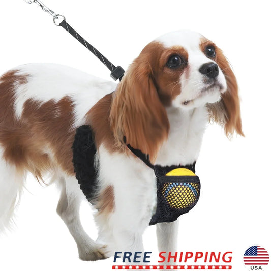 Non-Pulling Dog Harness with Built-in Storage Pouch Adjustable Nylon Mesh Reflective Stitching Comfortable Fit Walking Small