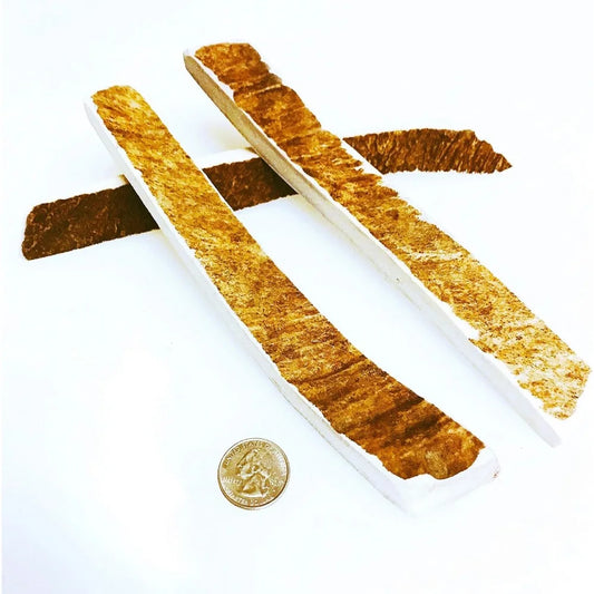 Medium Moose Munchers 3 Pack - Moose Antler Dog Chew - Grade A Premium - Organic - Made in USA - No Mess