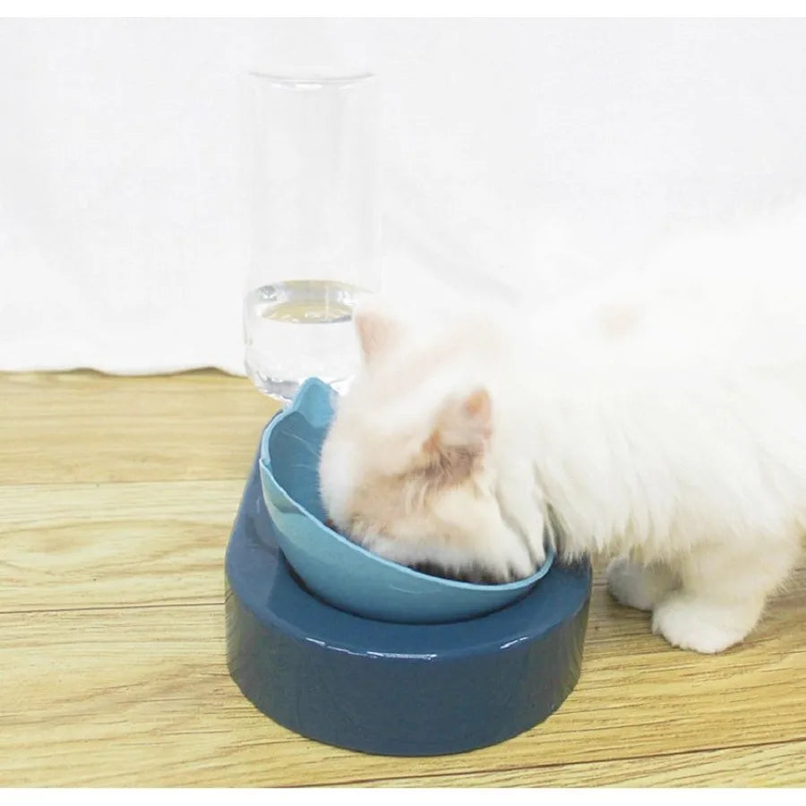 Portable Pet Bowl and Automatic Water Feeder Set 2 in 1 Food Bowl Dish with Water Dispenser Bottle Tilted