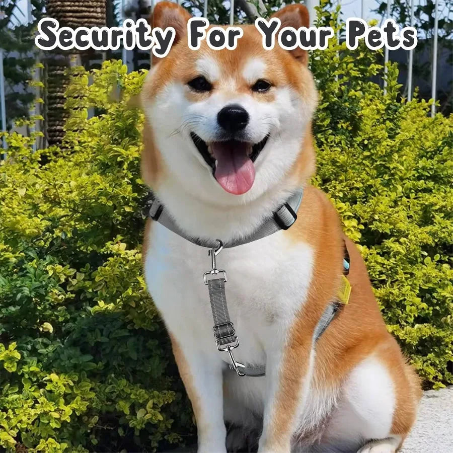 Dog Safety Collar Clips 2 Pack Adjustable Prong Backup Clips Reflective Double Ended Backup Clasp Leash Connector for Dog Harne