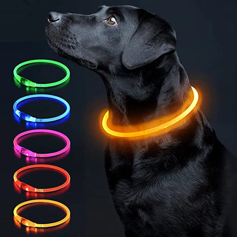USB Charging Necklace Led Luminous Dog Collar Light , Flashing DIY Glowing Safety Anti Lost Cat Dogs Collar Accessories Supplies