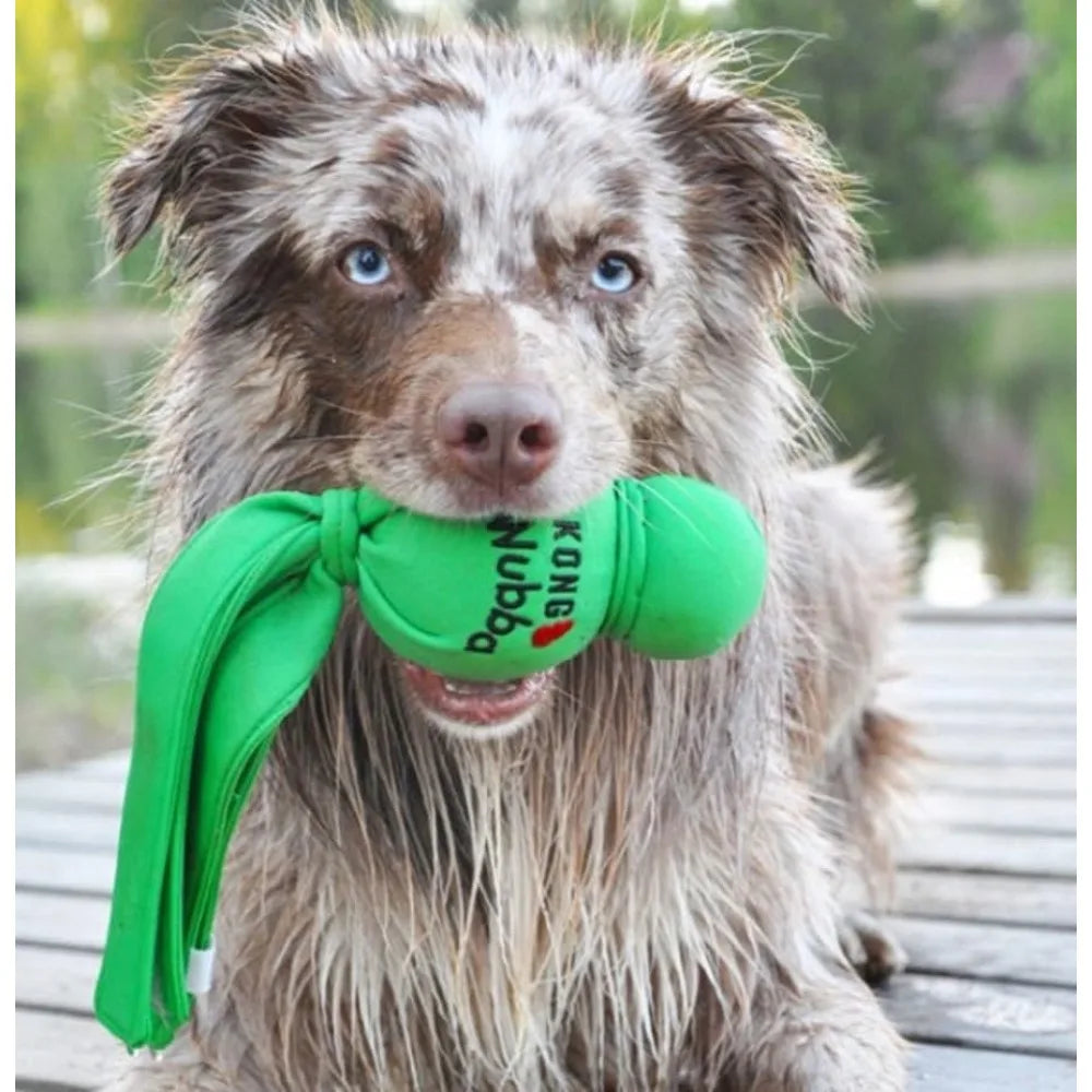 Floating and Fetch Outside Dog Toy for Water - 2 Pack (Extra Large)