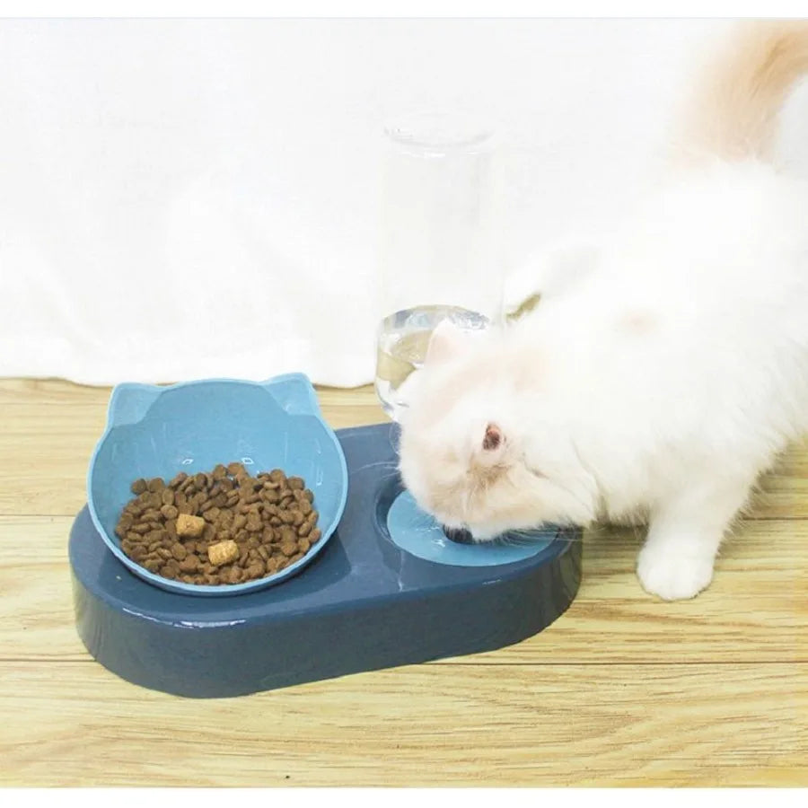 Portable Pet Bowl and Automatic Water Feeder Set 2 in 1 Food Bowl Dish with Water Dispenser Bottle Tilted