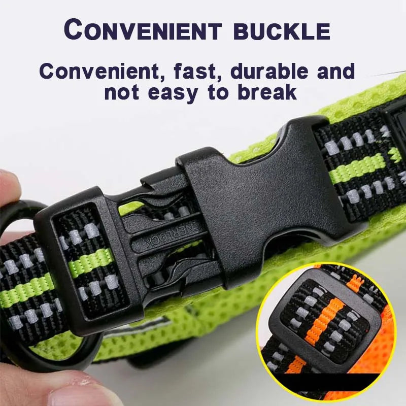 Dog Walking Collar Comfort Padded with Buckle Nylon Traveling Collar Tactical Dog Suplpies 11 Colors Size XXS-XXXL