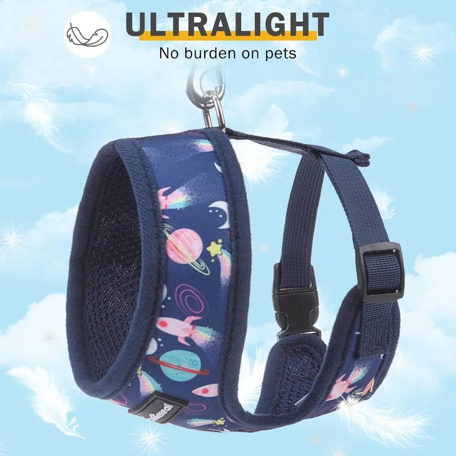 Adjustable No Pull Soft Mesh Stepin Vest Harness Collar and Leash Set for Small Dogs and Puppies Ideal for Outdoor Walking with