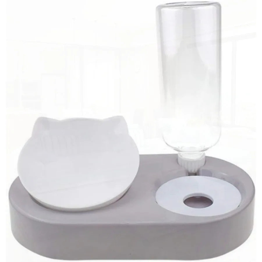 Portable Pet Bowl and Automatic Water Feeder Set 2 in 1 Food Bowl Dish with Water Dispenser Bottle Tilted