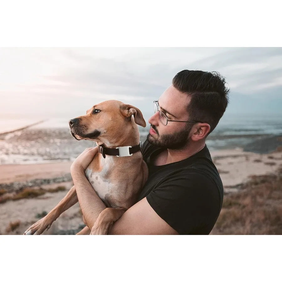 IPX7 Waterproof tag Holder  2 Packs tag Dog Collar Holder Fit for Dog Cat Collar Pet Loop  Tag Holder Accessories Anti Scratch