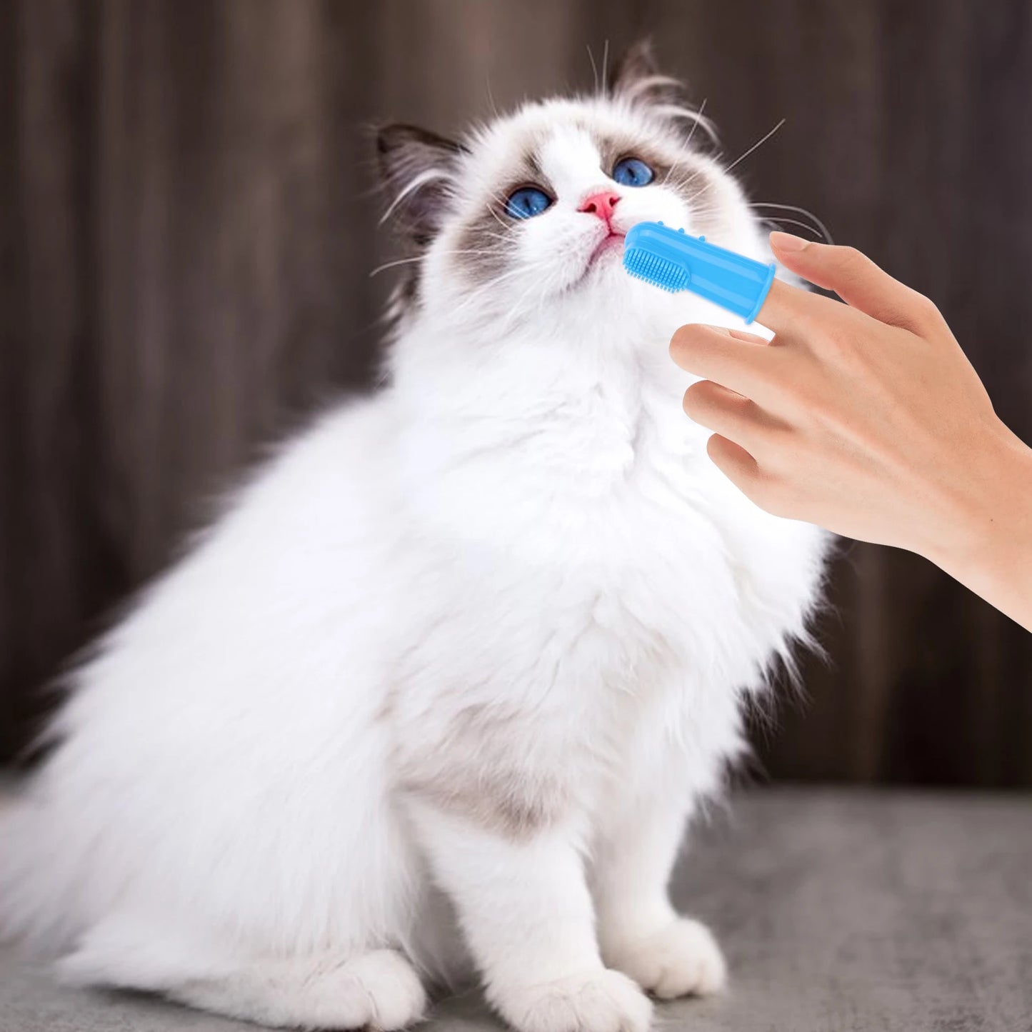 6PCS Pet Grooming Kit Silicone Dog Bath Brush Dog Toothbrush Finger Dog Bath Gloves Dog Shampoo Brush Cat Dog Bathing Supplies