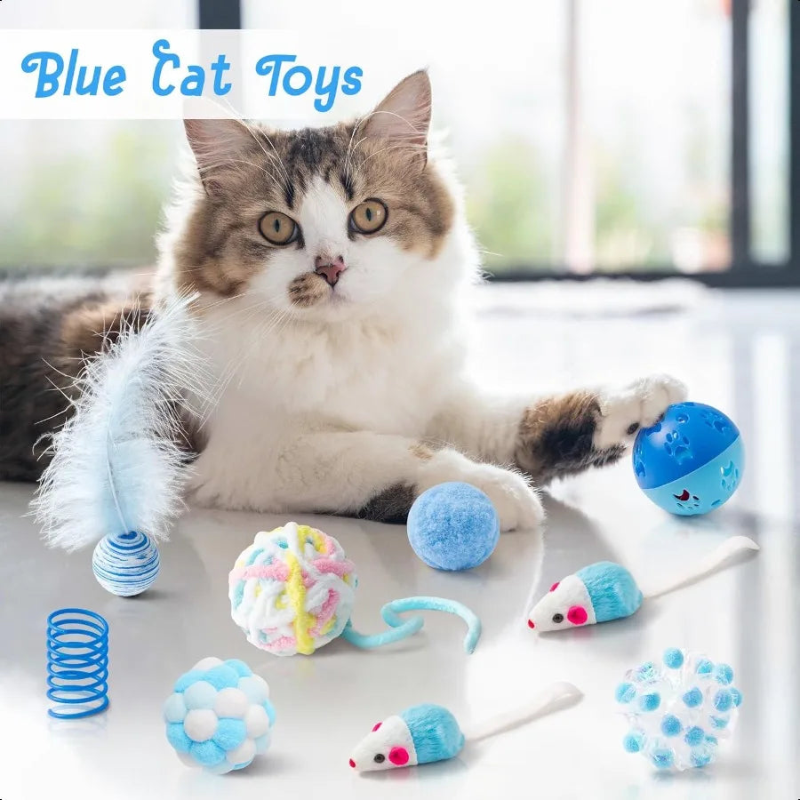 10Pcs Cat Toy Set Including Cat Springs Feather Teaser Wand Mice Crinkle Balls and Pet Bell Balls Puzzle Interactive Pet Gift P