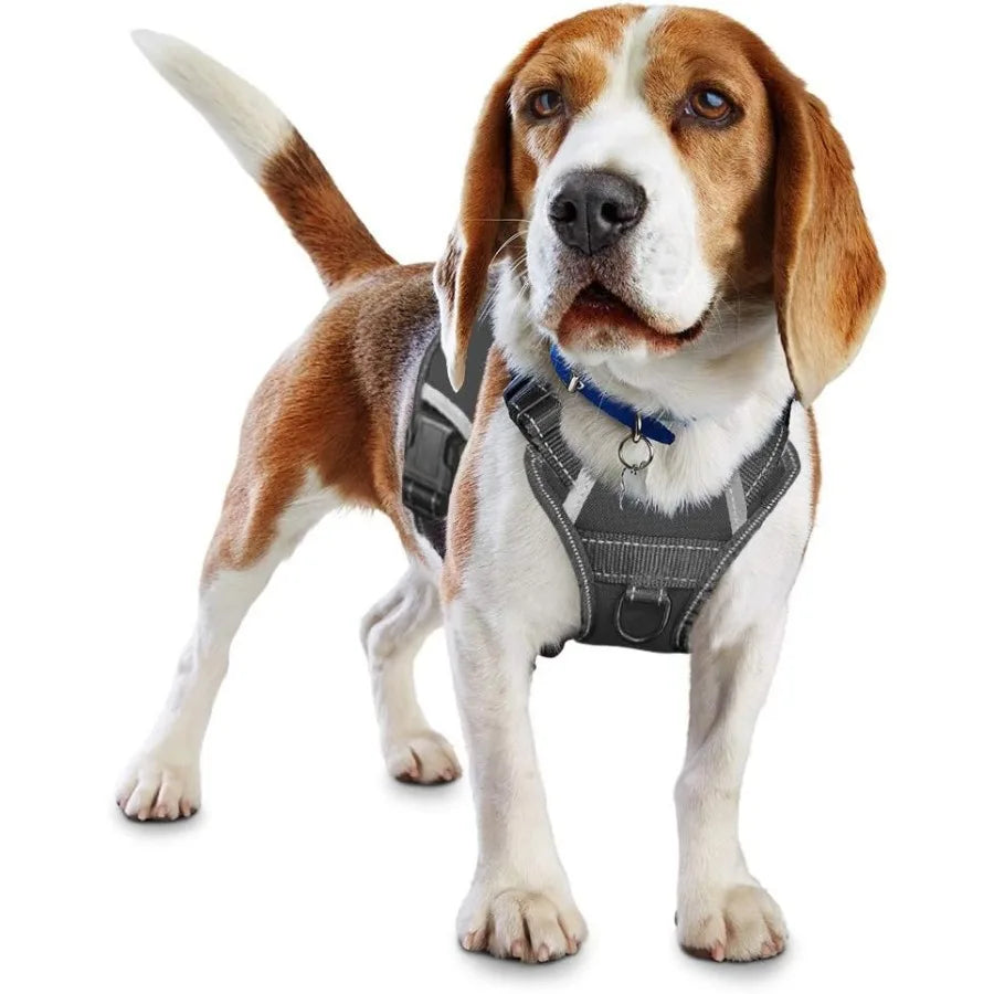 Service Dog HarnessNoPull Dog Harness with Handle Adjustable Reflective Pet Dog in Training Vest Harness Easy Control for Small