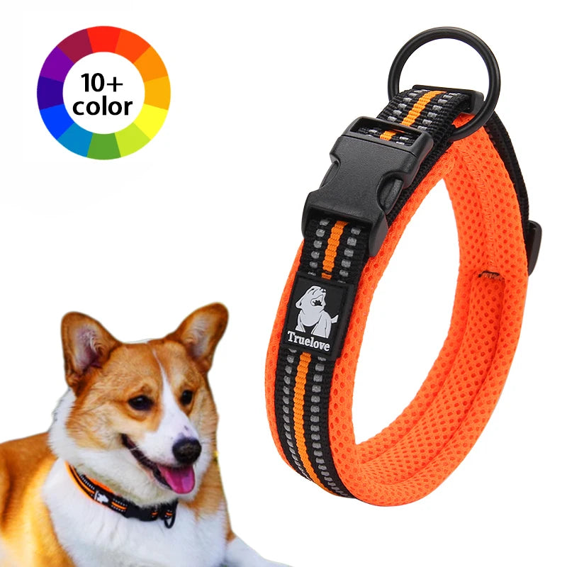 Dog Walking Collar Comfort Padded with Buckle Nylon Traveling Collar Tactical Dog Suplpies 11 Colors Size XXS-XXXL