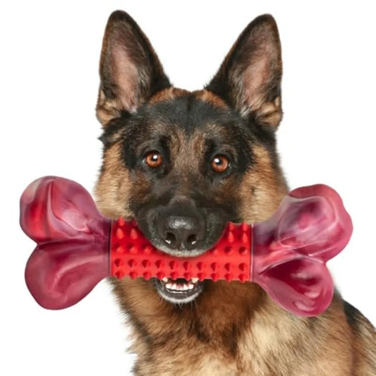 Durable and Tough Dog Toys Designed for Aggressive Chewers: Large Breed Beef Flavor Chew Bone Made from HighQuality Nylon and R
