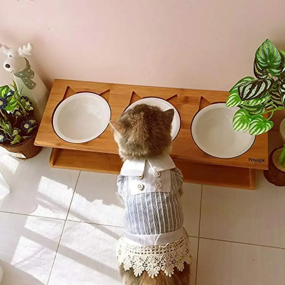 Elevated Cat Bowls with Bamboo Stand Bone China & Stainless Steel Pet Dining Table Cats Dogs Kitten Puppy Raised Slope Oblique
