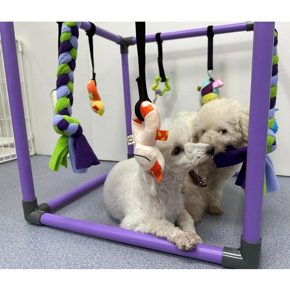 Puppy Play Gym for Small Dogs with 8 Hanging Toys, Jungle Playground with Interactive Funny Enrichment Toys to Keep Them Busy