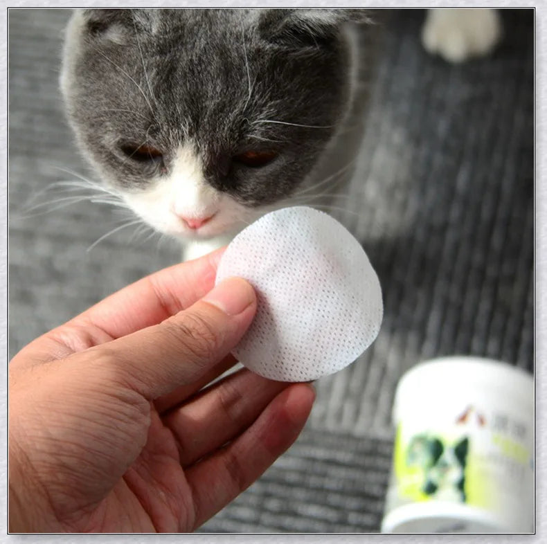 100pcs Pet ear wipes Cat dog teddy puppies wet  Cleaning Dedicated to earwax parvovirus Skincare  supplies