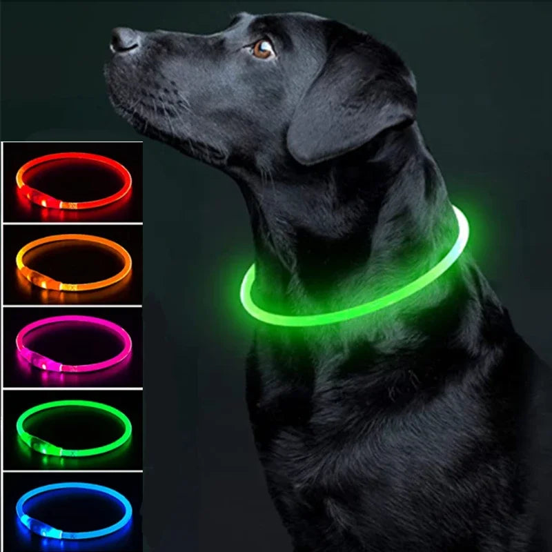 USB Charging Necklace Led Luminous Dog Collar Light , Flashing DIY Glowing Safety Anti Lost Cat Dogs Collar Accessories Supplies