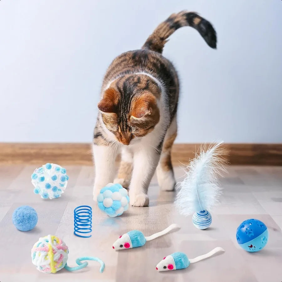 10Pcs Cat Toy Set Including Cat Springs Feather Teaser Wand Mice Crinkle Balls and Pet Bell Balls Puzzle Interactive Pet Gift P