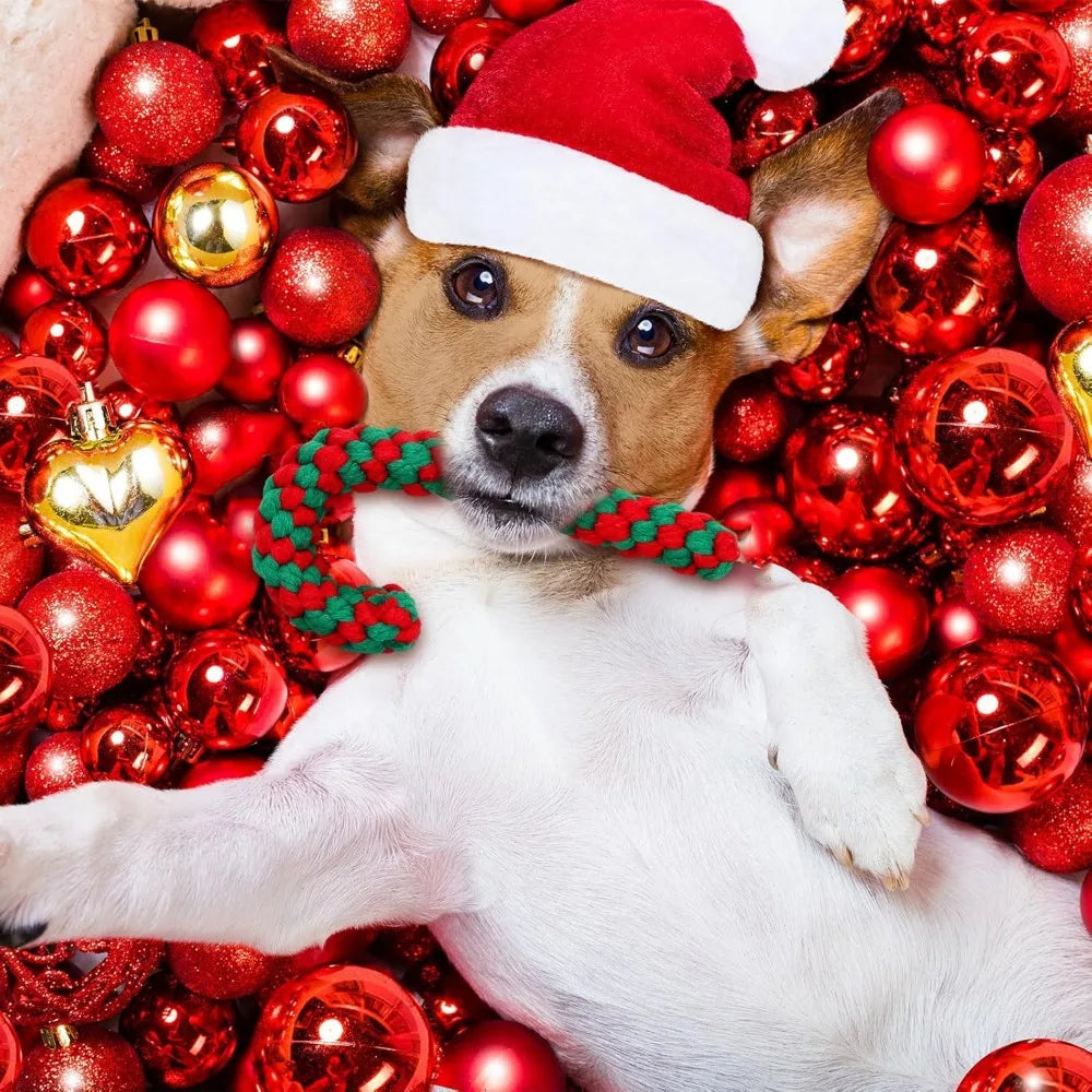 32 Pieces Dog Christmas Chew Toys Candy Cane Rope Toys Classic Crutch Shape for Christmas Puppy Small Pet Medium Large Do